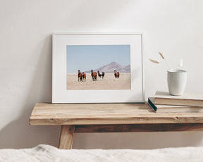 Wild Desert Horses