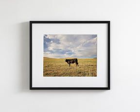 Cow in Western Landscape