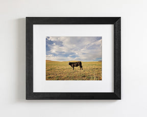 Cow in Western Landscape