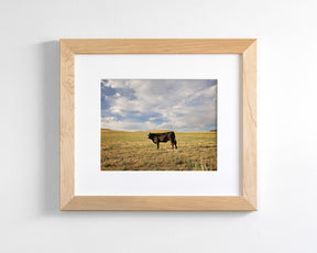 Cow in Western Landscape