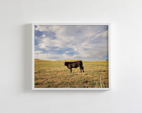 Cow in Western Landscape