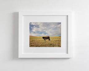 Cow in Western Landscape