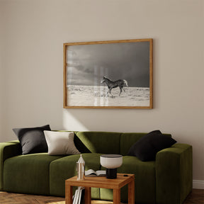 Foal in Storm, Black and White