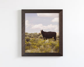 Ghost Cow, Western Landscape