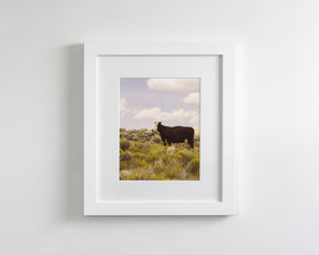 Ghost Cow, Western Landscape