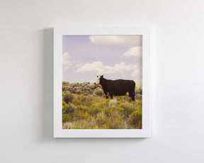 Ghost Cow, Western Landscape