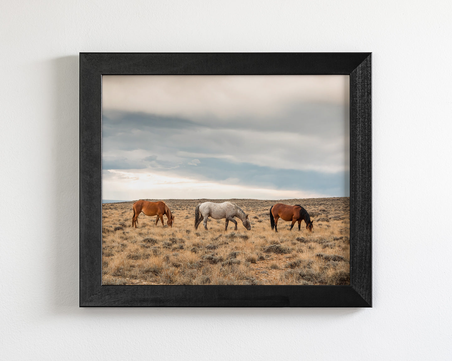 Grazing Horses in Landscape