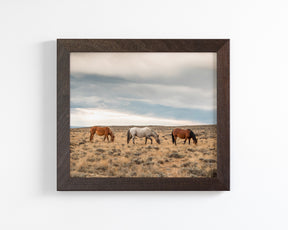 Grazing Horses in Landscape