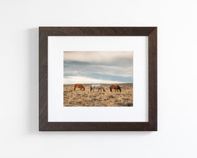 Grazing Horses in Landscape