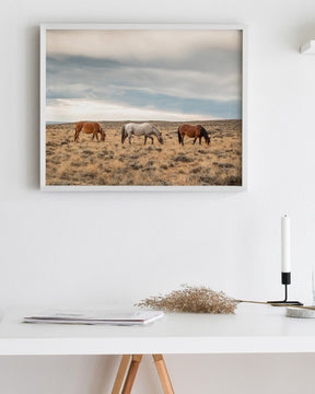 Grazing Horses in Landscape