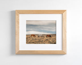 Grazing Horses in Landscape