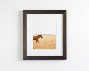 Montana Modern