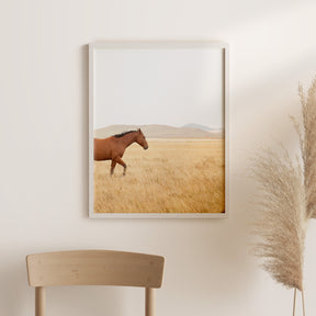 Montana Modern