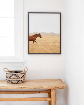 Montana Modern