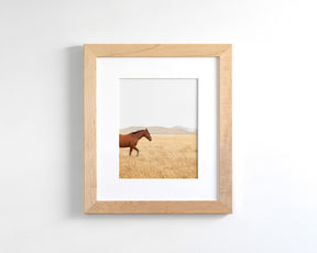 Montana Modern