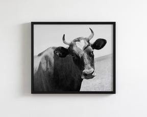 Heart Cow