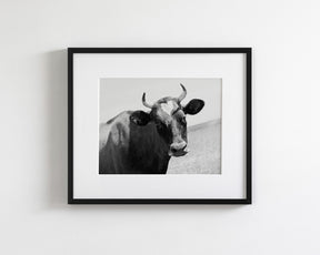 Heart Cow