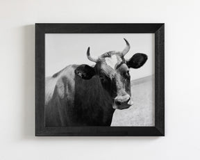 Heart Cow
