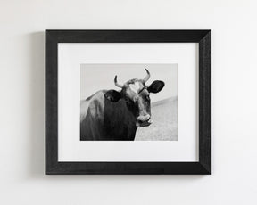 Heart Cow