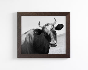 Heart Cow
