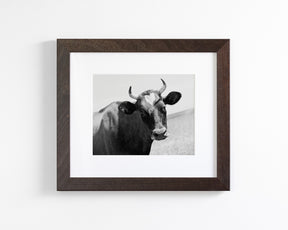 Heart Cow