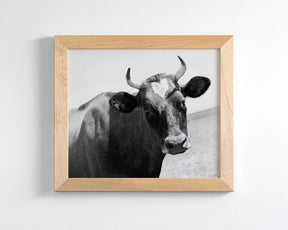 Heart Cow