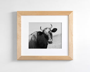 Heart Cow
