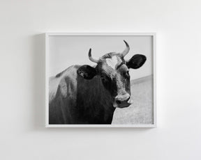 Heart Cow