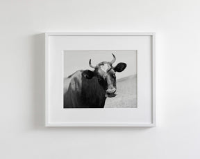 Heart Cow