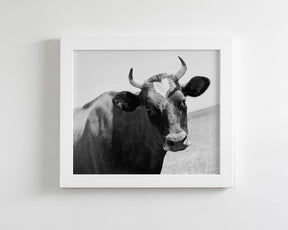 Heart Cow