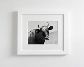 Heart Cow