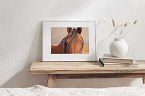Golden Plains, Horse Close Up
