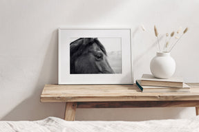 Horse Eye Profile