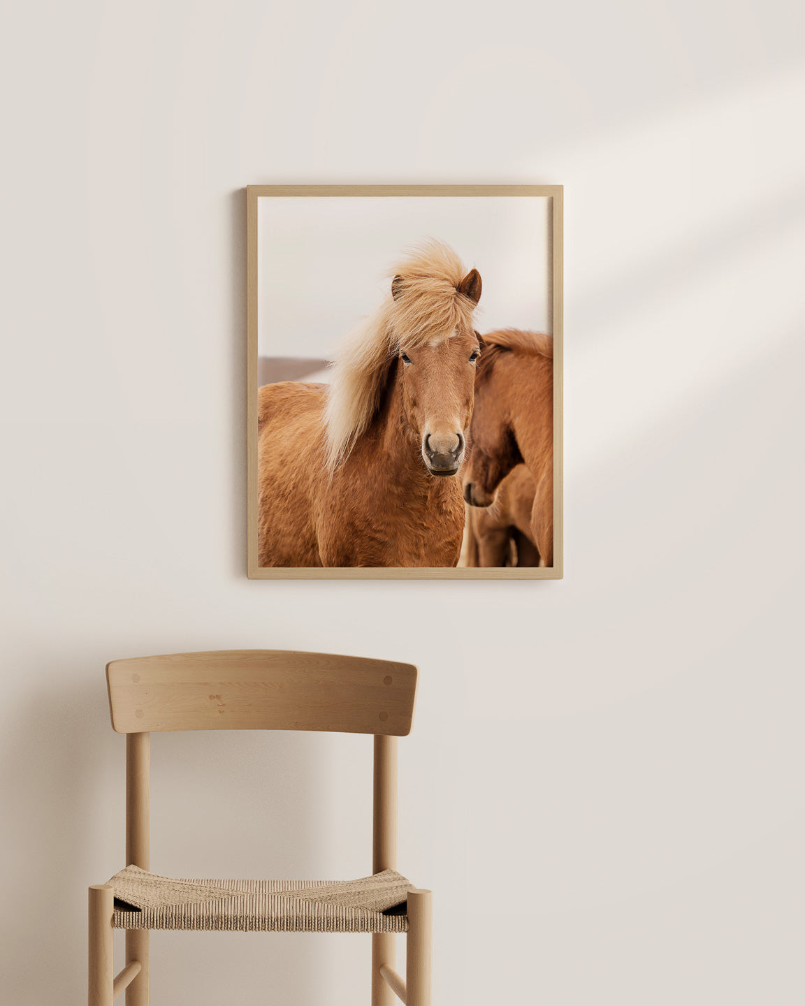 Collectible Icelandic Pony - 70514