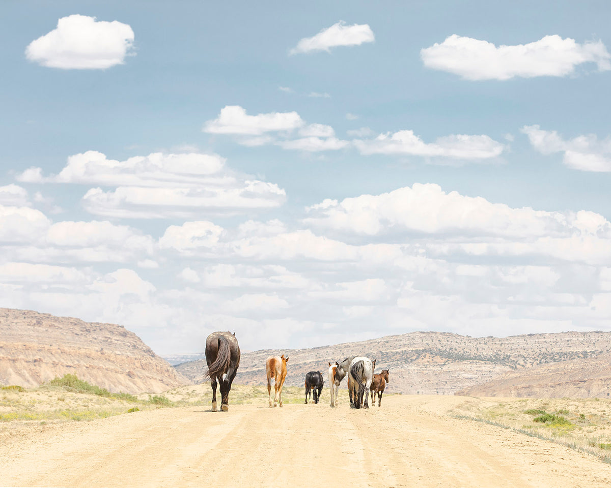 The Road Ahead