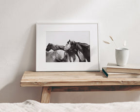 Mares - Wild Horse Photograph