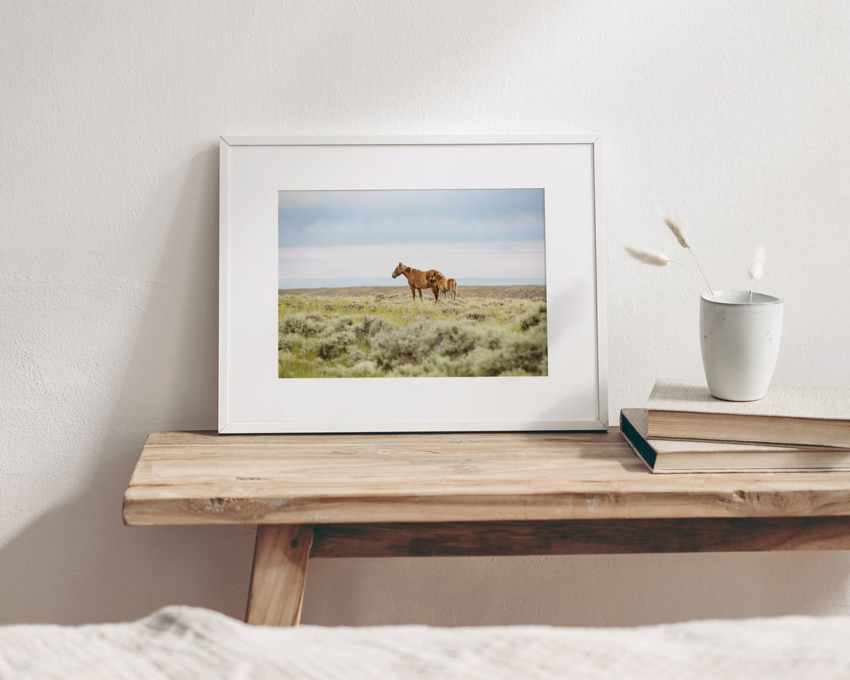 Mother and Foal- Wild Horses