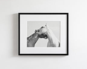 Modern White Horse Print
