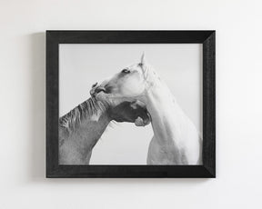 Modern White Horse Print