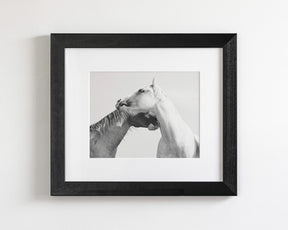 Modern White Horse Print