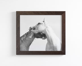 Modern White Horse Print