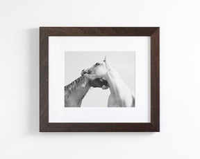 Modern White Horse Print