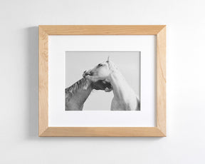 Modern White Horse Print
