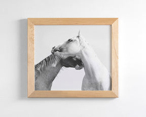 Modern White Horse Print