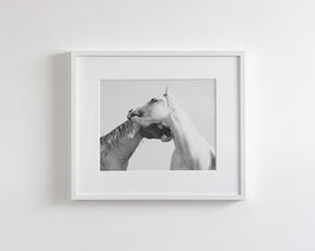 Modern White Horse Print
