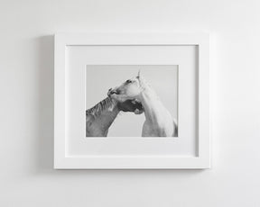 Modern White Horse Print