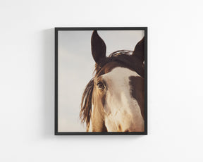 Modern Crop Paint Horse