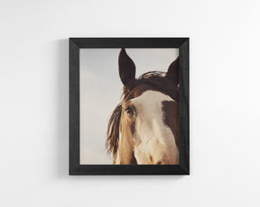 Modern Crop Paint Horse