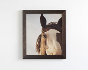 Modern Crop Paint Horse