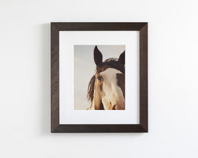 Modern Crop Paint Horse